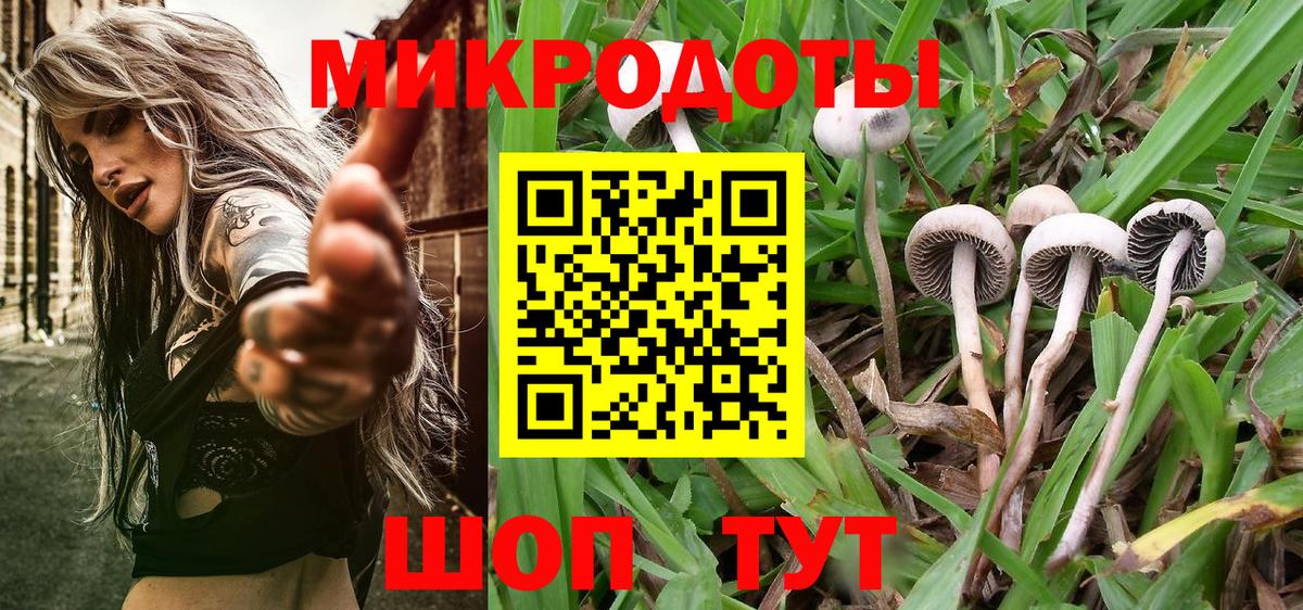 Псилоцибиновые грибы Psilocybine cubensis  Галлюциногенные грибы прущие грибы  Сочи  Вход с VPN 