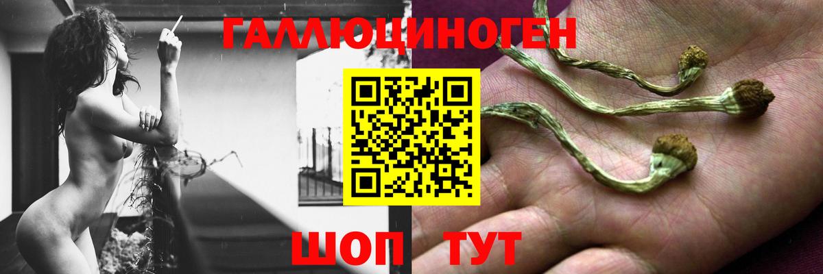 Псилоцибиновые грибы Magic Shrooms Сочи